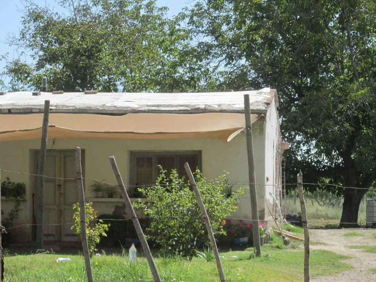 Terreno 2,5 has en Venta La Consulta Valle de Uco 5