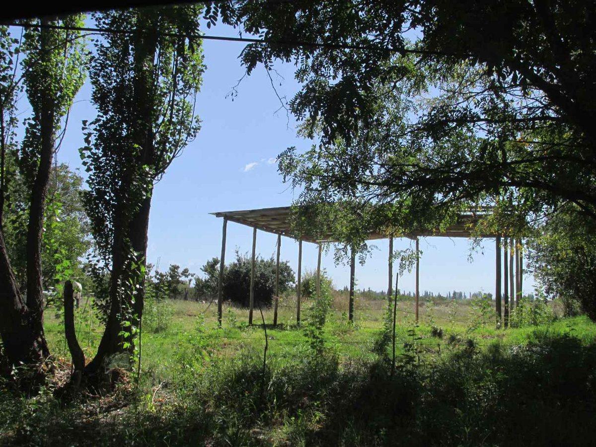 Terreno 2,5 has en Venta La Consulta Valle de Uco