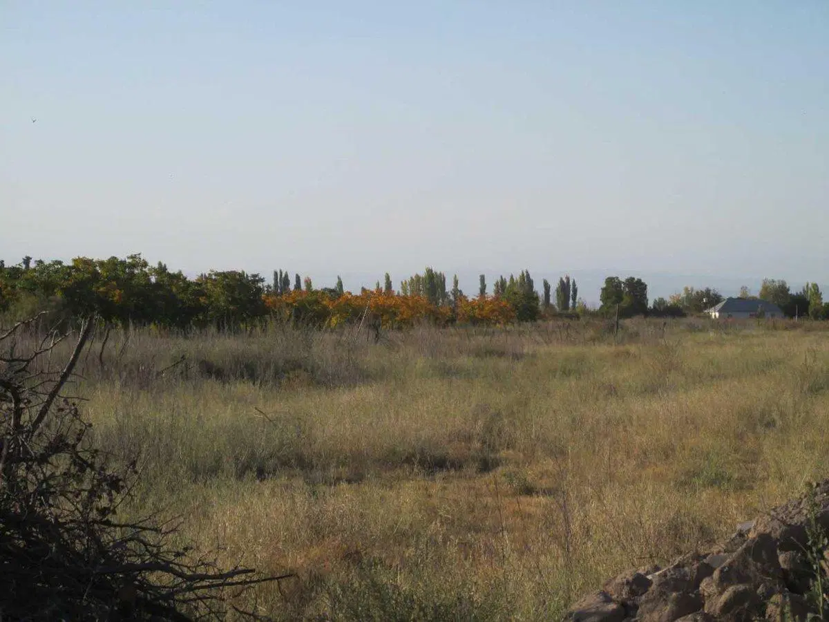 Terreno 2,5 has en Venta La Consulta Valle de Uco 2
