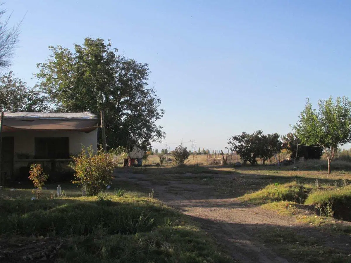 Terreno 2,5 has en Venta La Consulta Valle de Uco 3