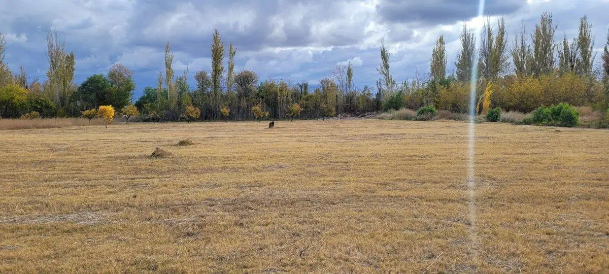 VENTA AMPLIO LOTE EN EL ESPINO SAN MARTIN 4