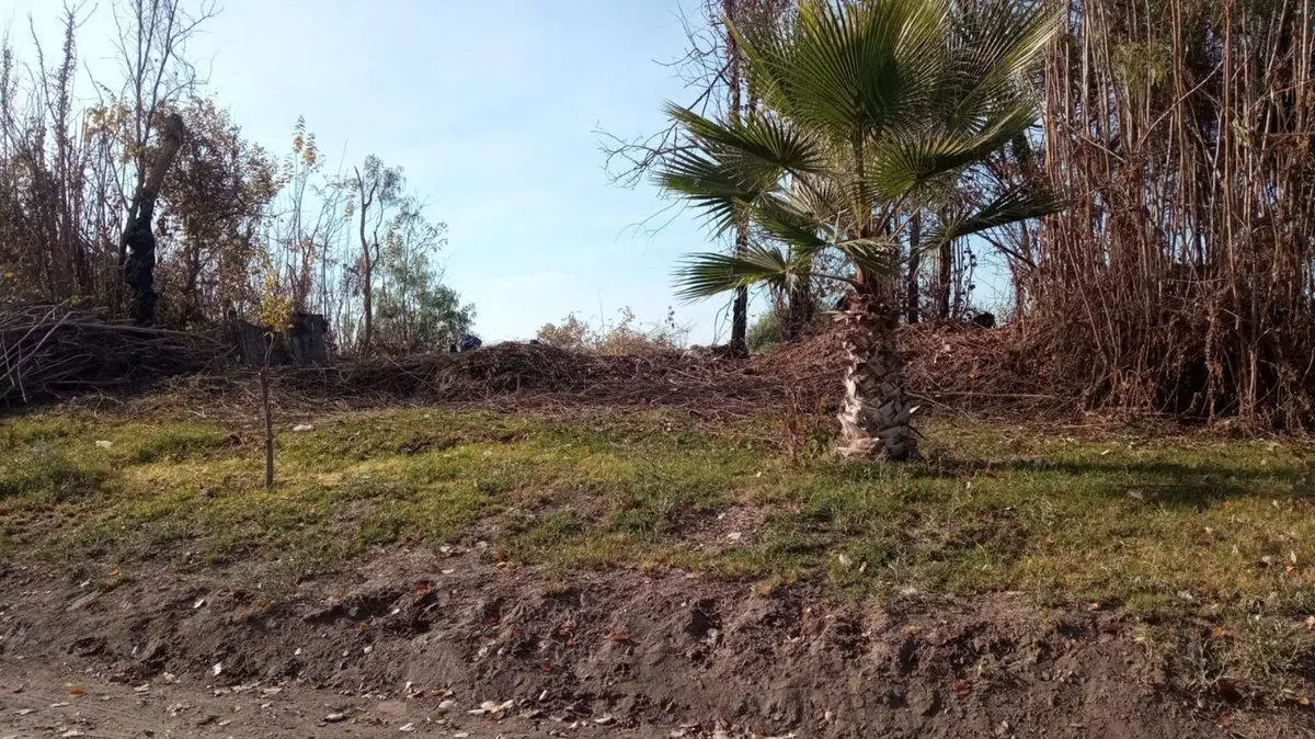 VENTA AMPLIO LOTE EN EL ESPINO SAN MARTIN 3