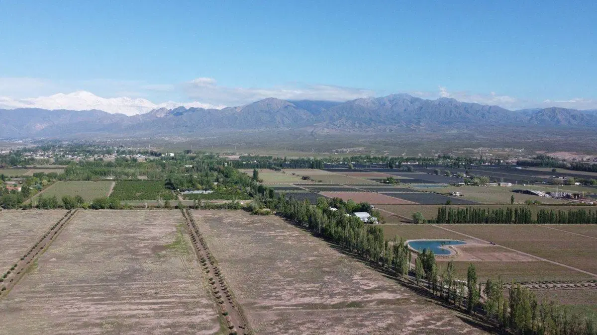 Venta Lotes Barrio Verona Vistalba Lujan de Cuyo 8