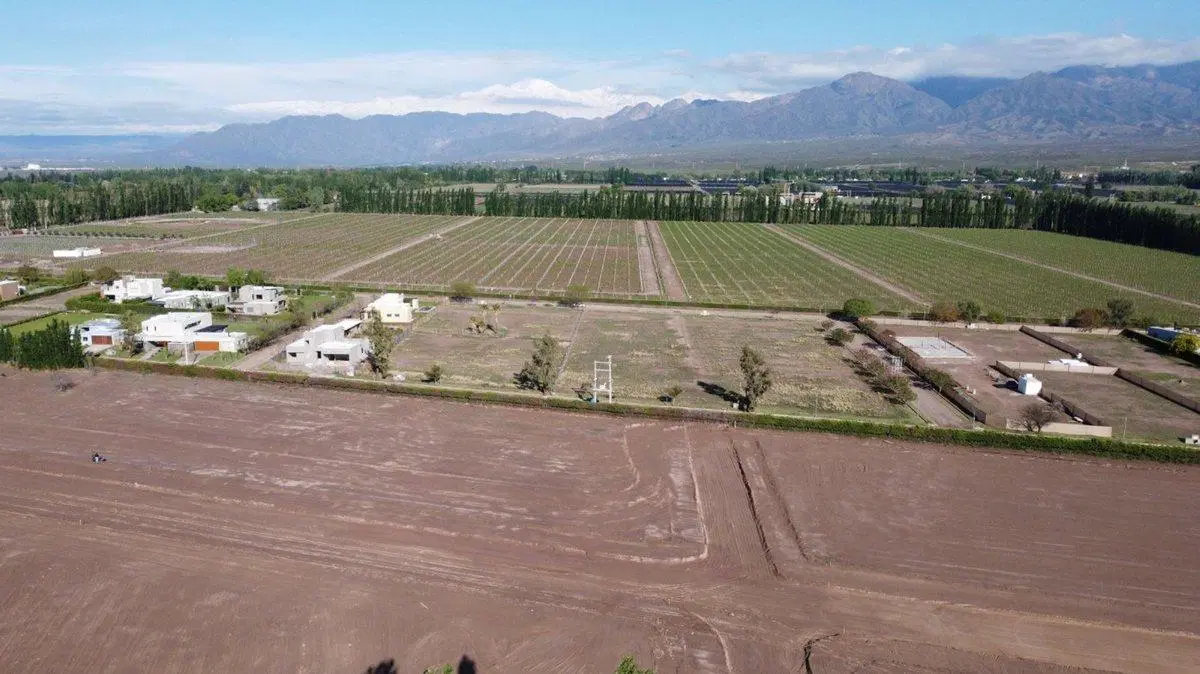 Venta Lotes Barrio Verona Vistalba Lujan de Cuyo 4