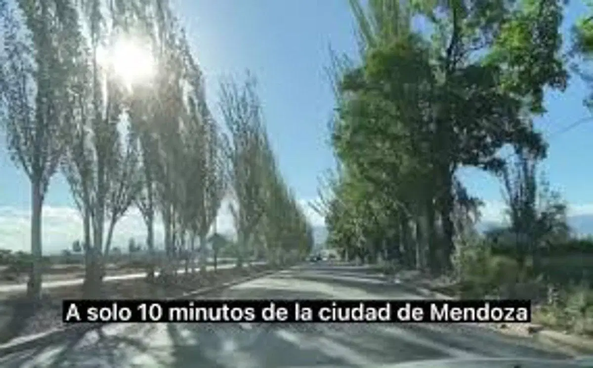 venta Lote  Bº El Abedul Castero Barros lujan 2