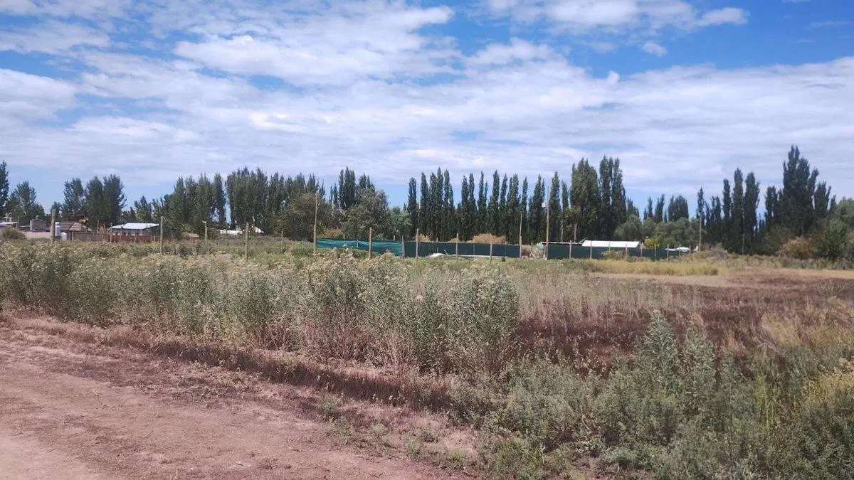 Lotes 2.000 m2 Callejón Cerrado Pedregal Maipu 2