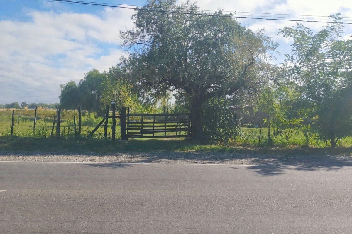 Lote en venta de 5 hectáreas en San Rafael Mendoza