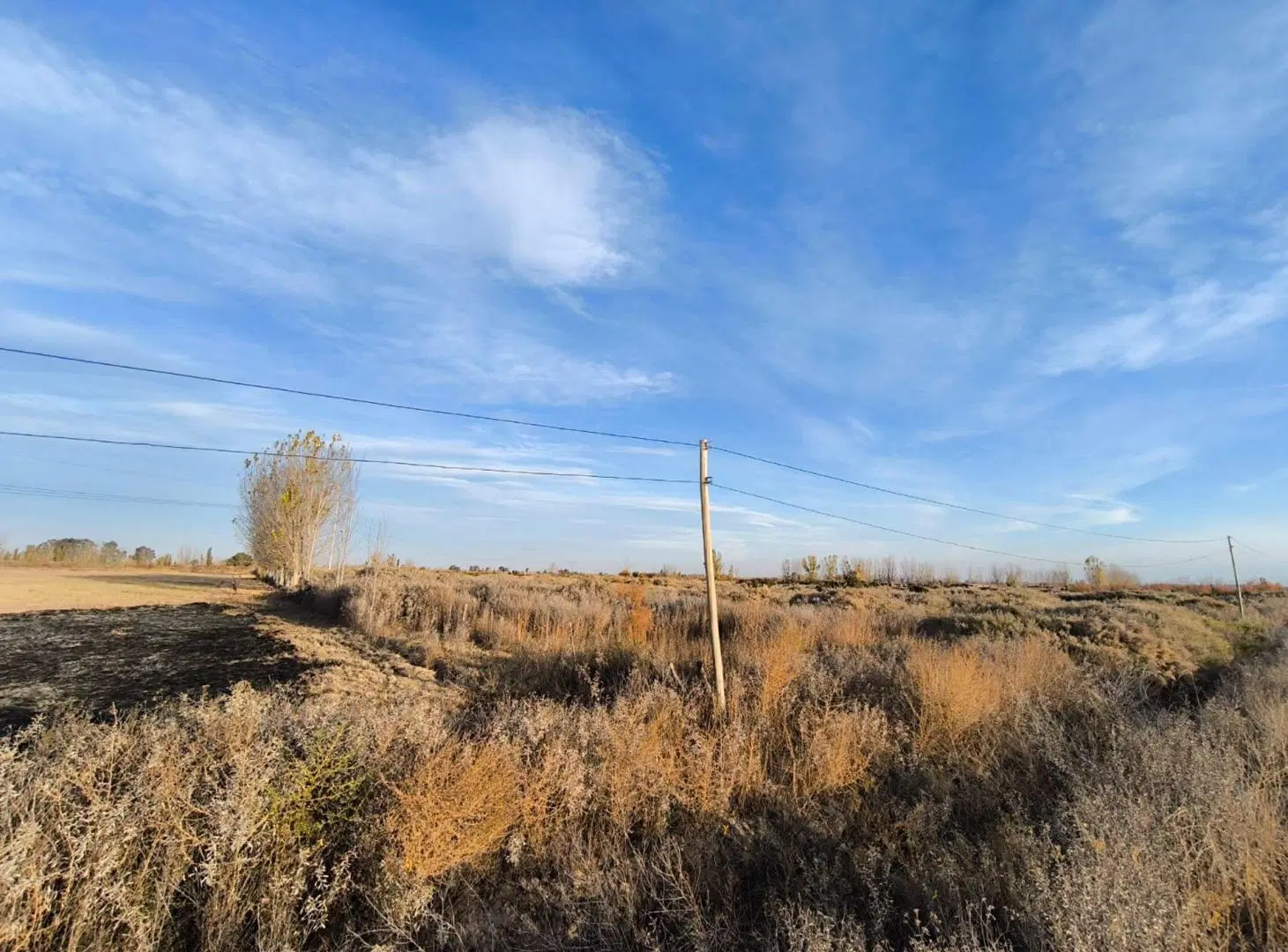 VENTA FINCA EN BLANO CON RIEGO EL PASTAL LAS HERAS 4