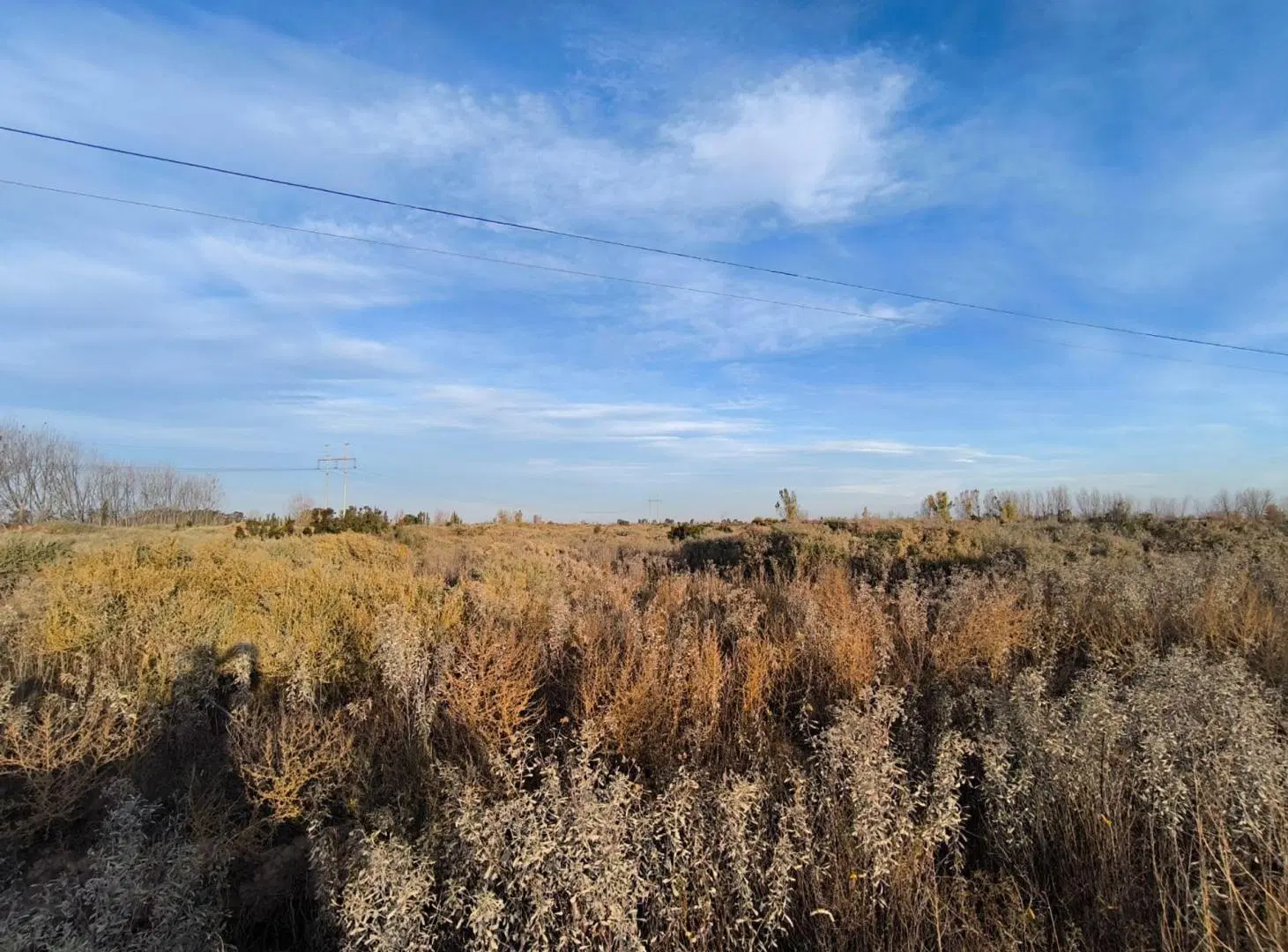 VENTA FINCA EN BLANO CON RIEGO EL PASTAL LAS HERAS 3