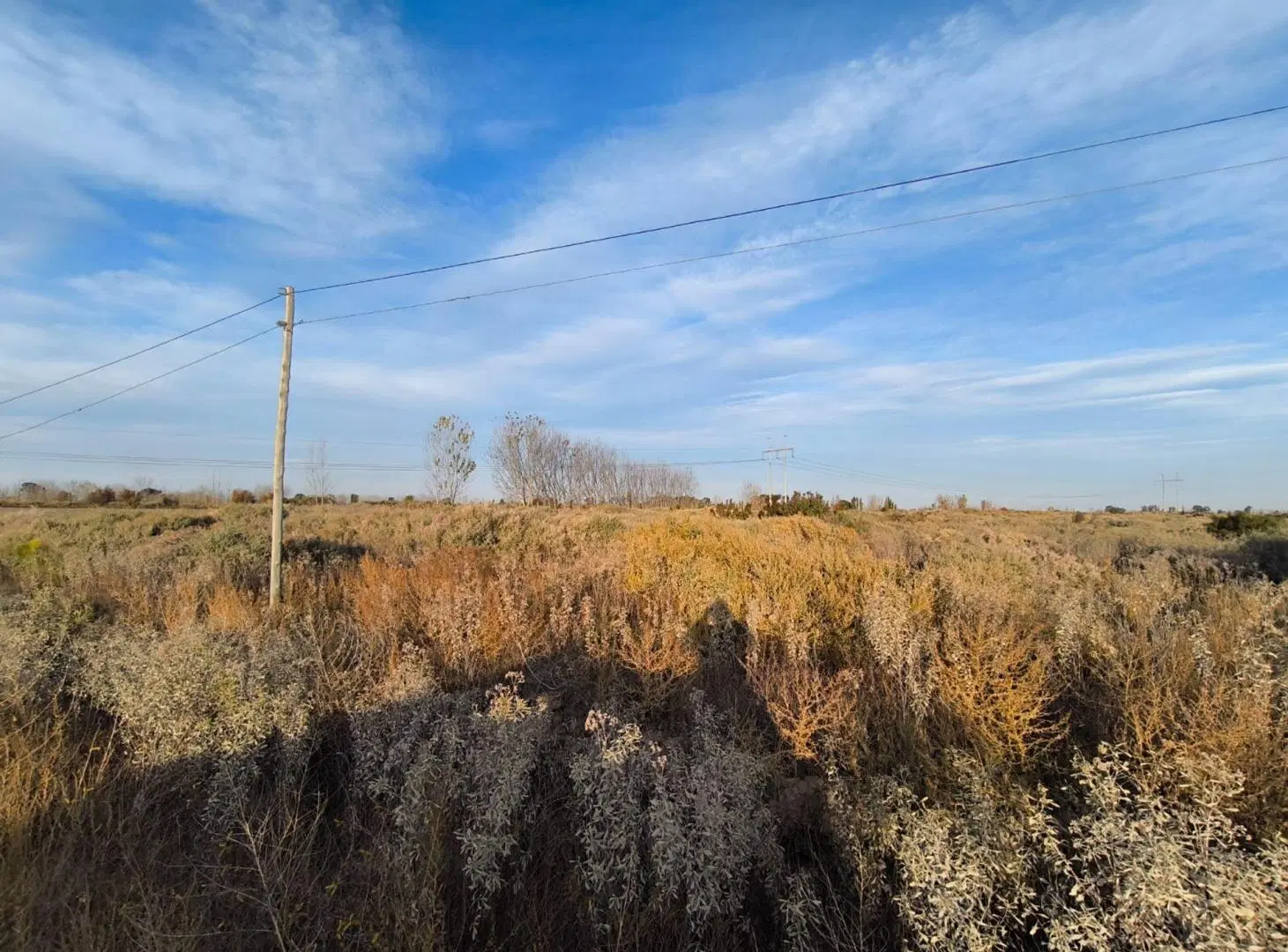 VENTA FINCA EN BLANO CON RIEGO EL PASTAL LAS HERAS 5
