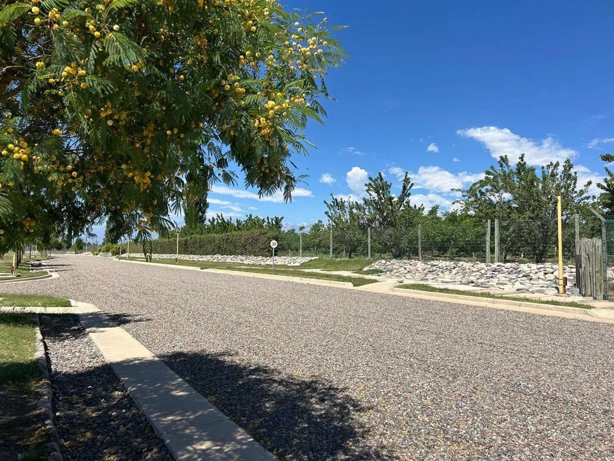 Venta Lotes Barrio Privado Gualtallary Tupungato 5