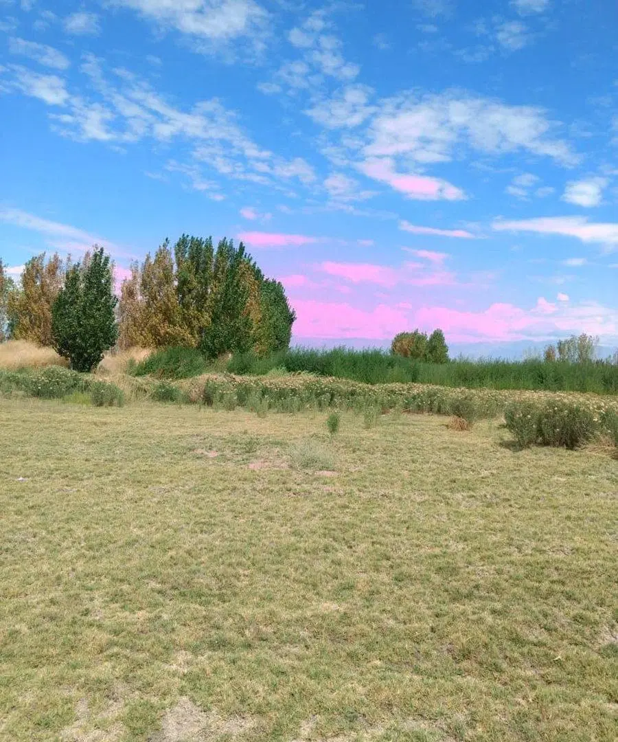 TERRENO 2862 M2 EN VENTA JOCOLI LAS HERAS NIVELADO 2