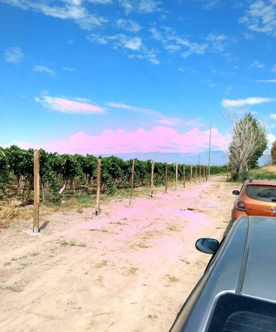 TERRENO 2862 M2 EN VENTA JOCOLI LAS HERAS NIVELADO 4