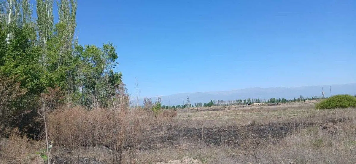Terreno 6000 Metros Cuadrados en Venta en Lavalle 2
