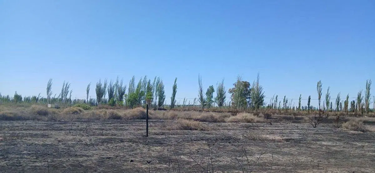 Terreno 6000 Metros Cuadrados en Venta en Lavalle 3