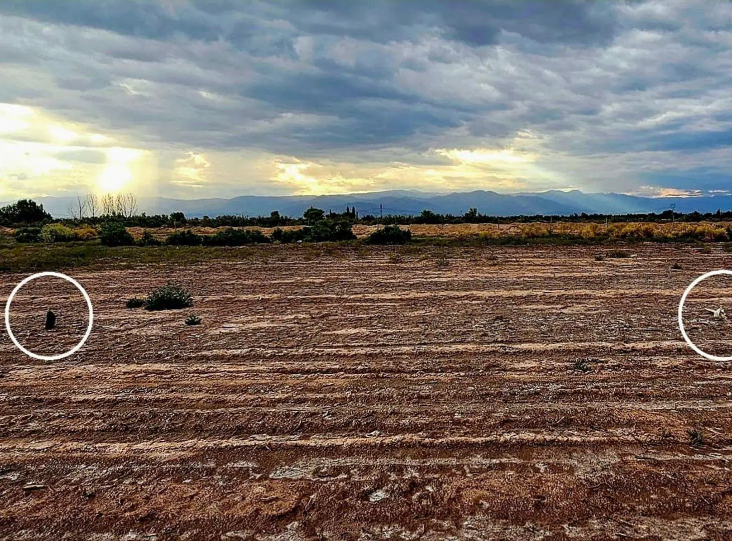 VENTA LOTE BARRIO CERRADO COLONIA SEGOVIA 5