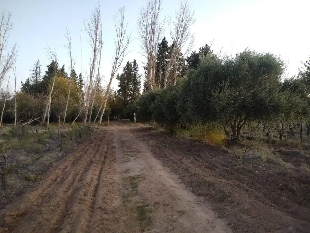 VENTA FINCA 75 Ha c/pozo - La Dormida 3