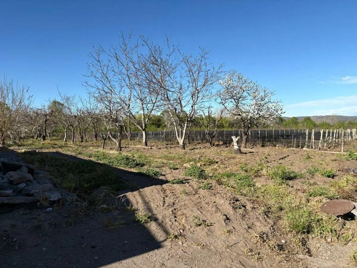 Venta lote en El Peral . Tupungato 3