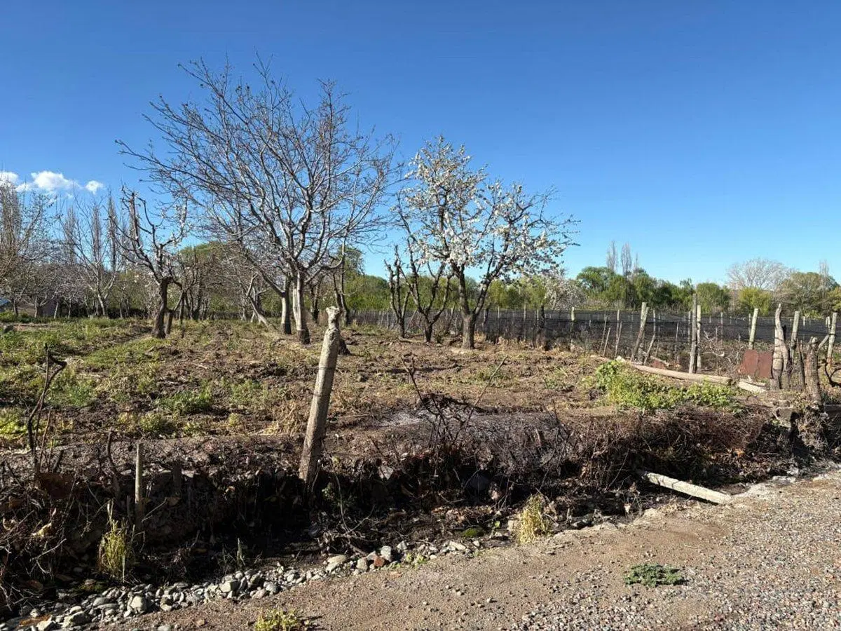 Venta lote en El Peral . Tupungato 2