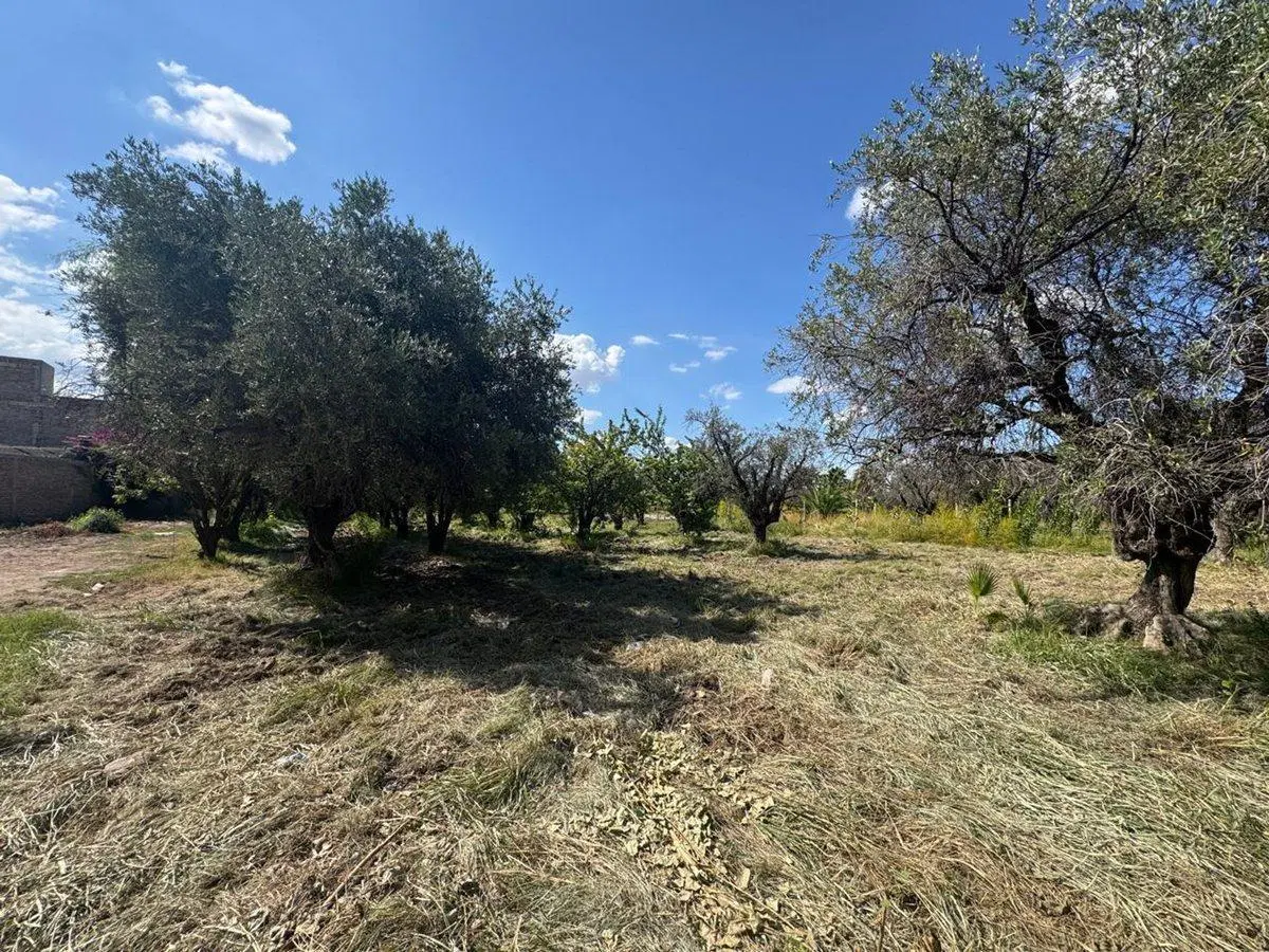 LOTE EN VENTA LAS HERAS MENDOZA 3