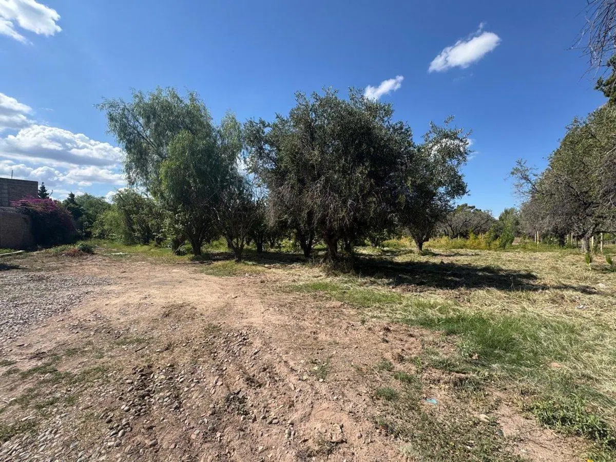 LOTE EN VENTA LAS HERAS MENDOZA 4
