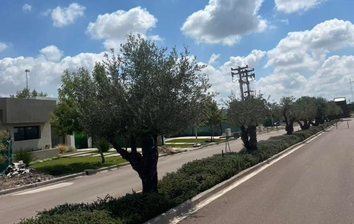 LOTE CENTRAL TERRZAS PARK MAIPÚ, MAIPÚ, MZA. 2