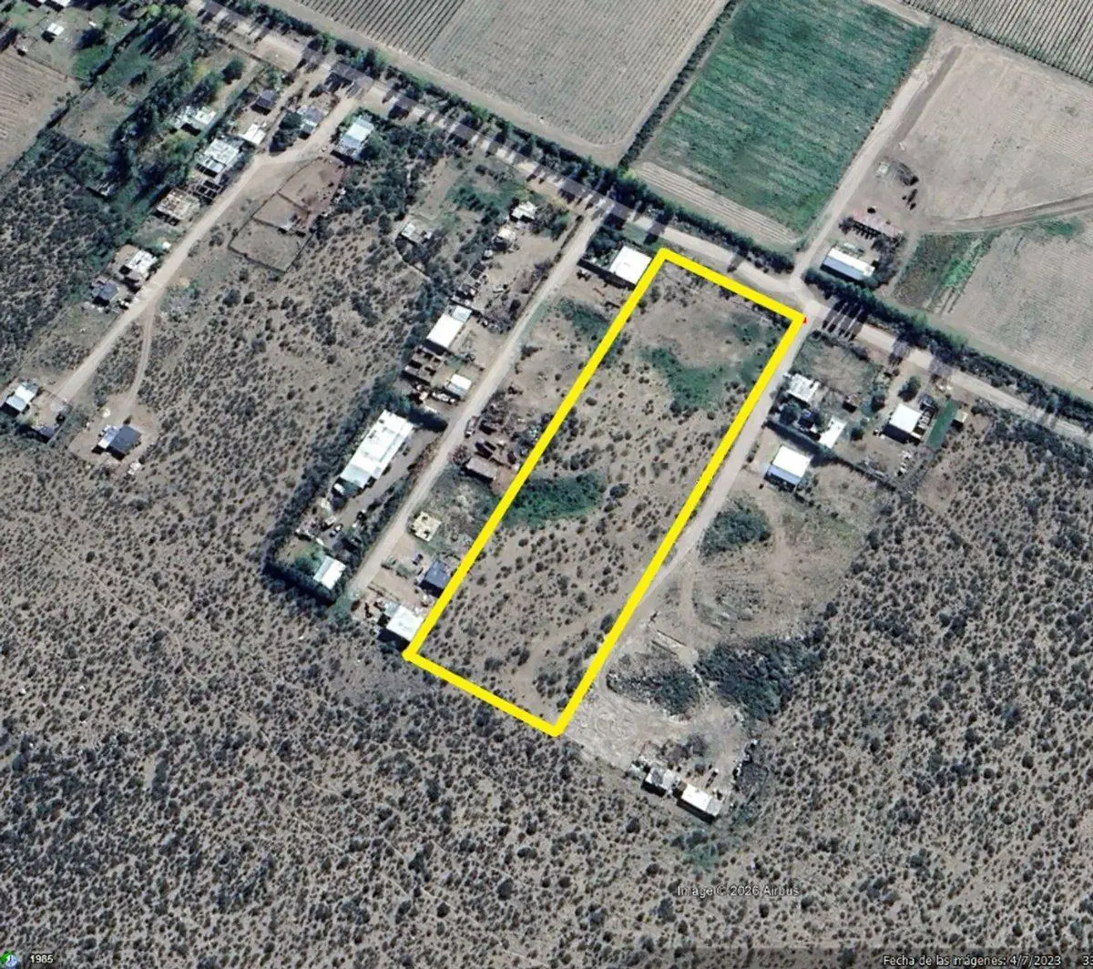 Terreno 10.000 m2 en El Cepillo Valle de Uco 4