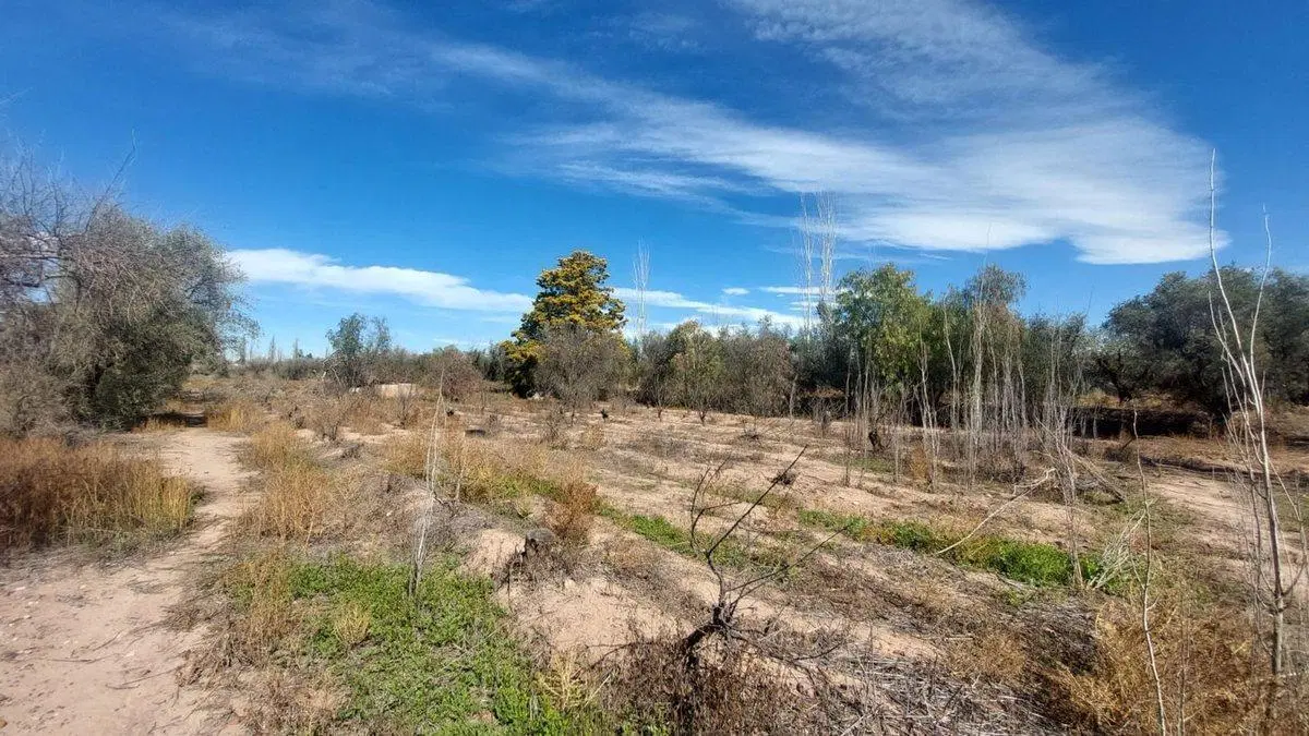 TERRENO IDEAL DESARROLLO INMOBILIARIO EN MAIPU 3