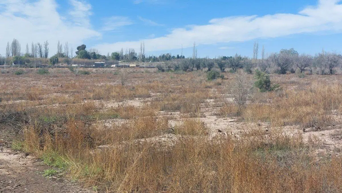 TERRENO IDEAL DESARROLLO INMOBILIARIO EN MAIPU 5