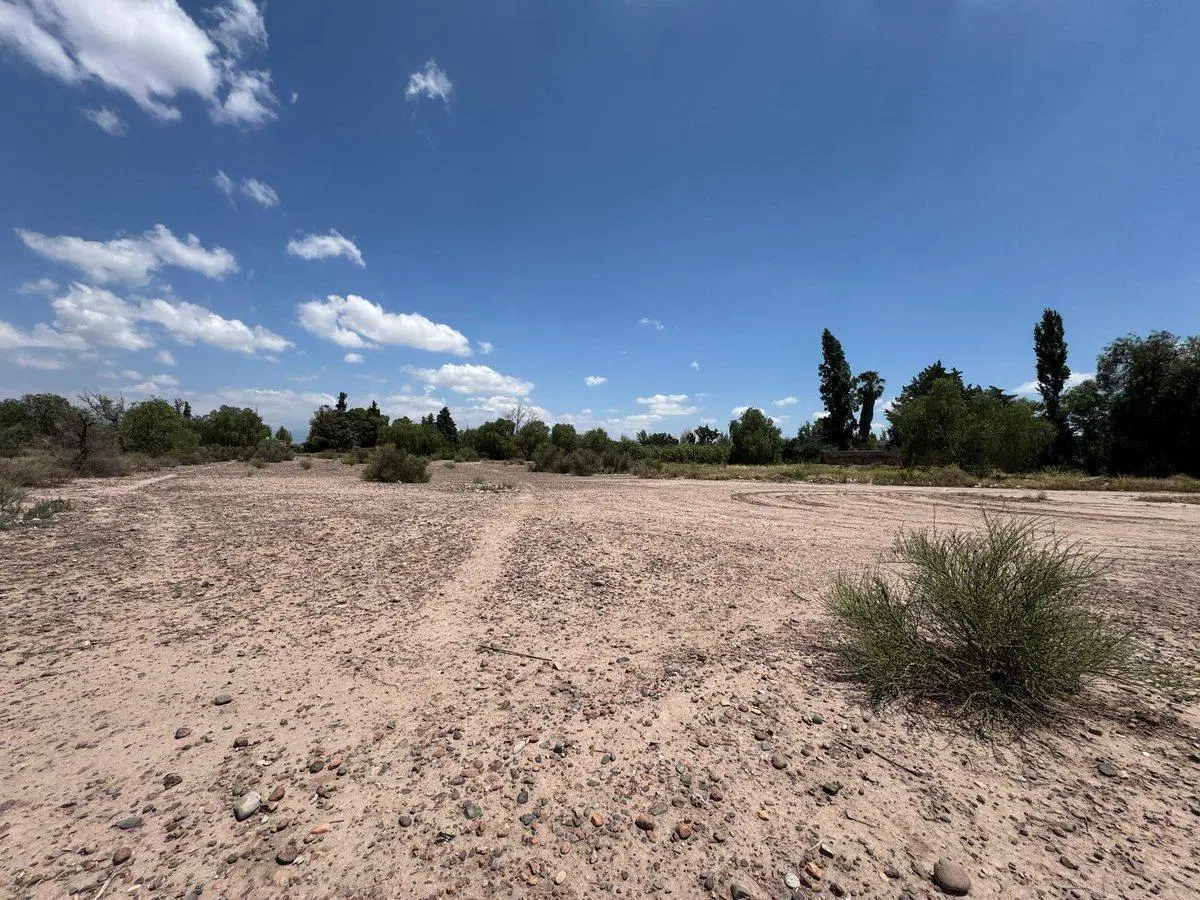 TERRENO EN VENTA 3 Hectáreas, Coquimbito, Maipú 3