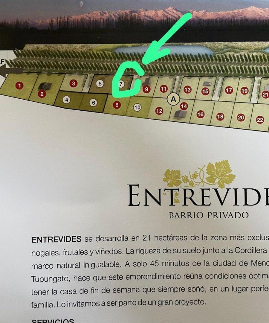 Foto de LOTE EN VENTA, imagen 5