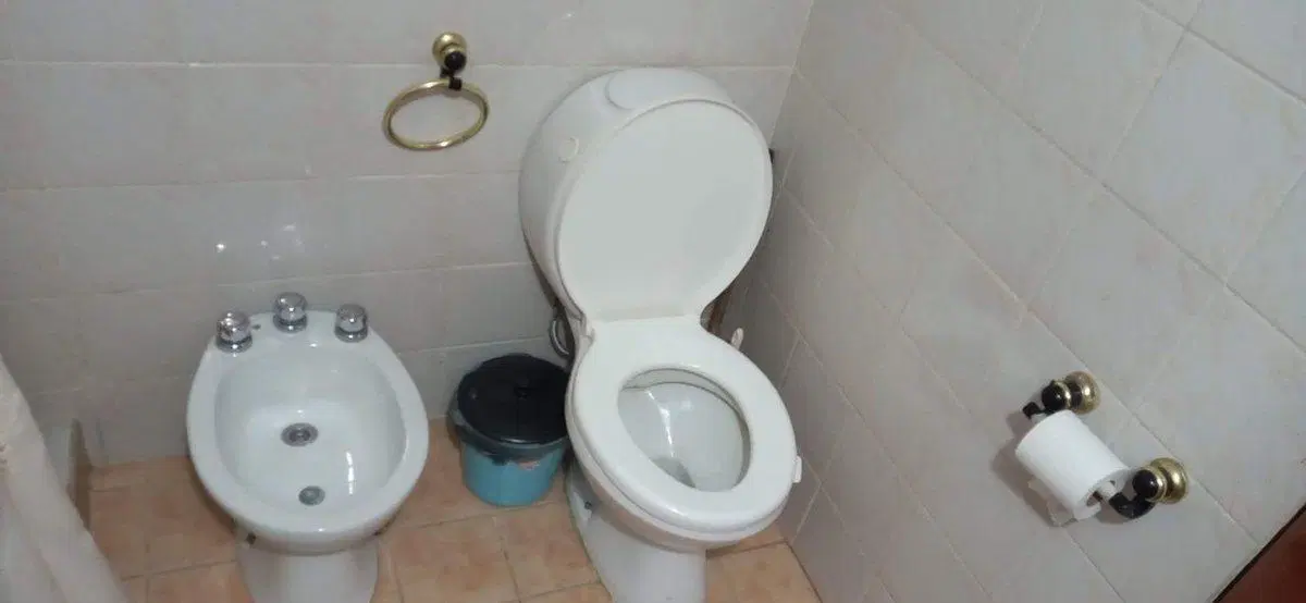Venta casa + cabaña en gran terreno en Potrerillos 4