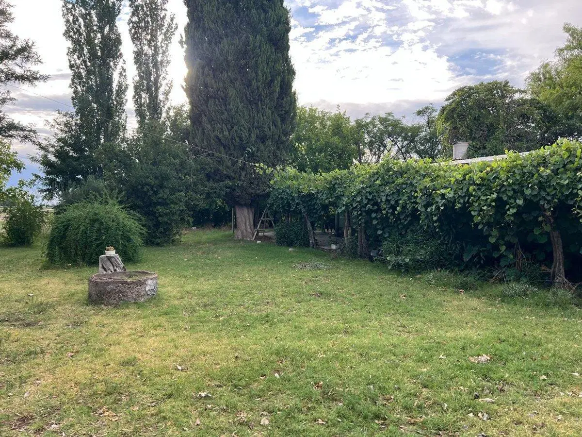venta finca en produccion chapanay 5