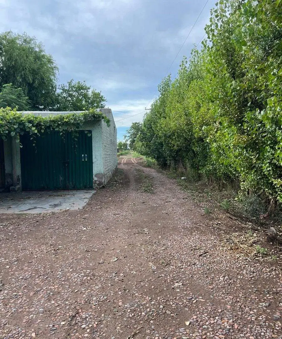 venta finca en produccion chapanay 3
