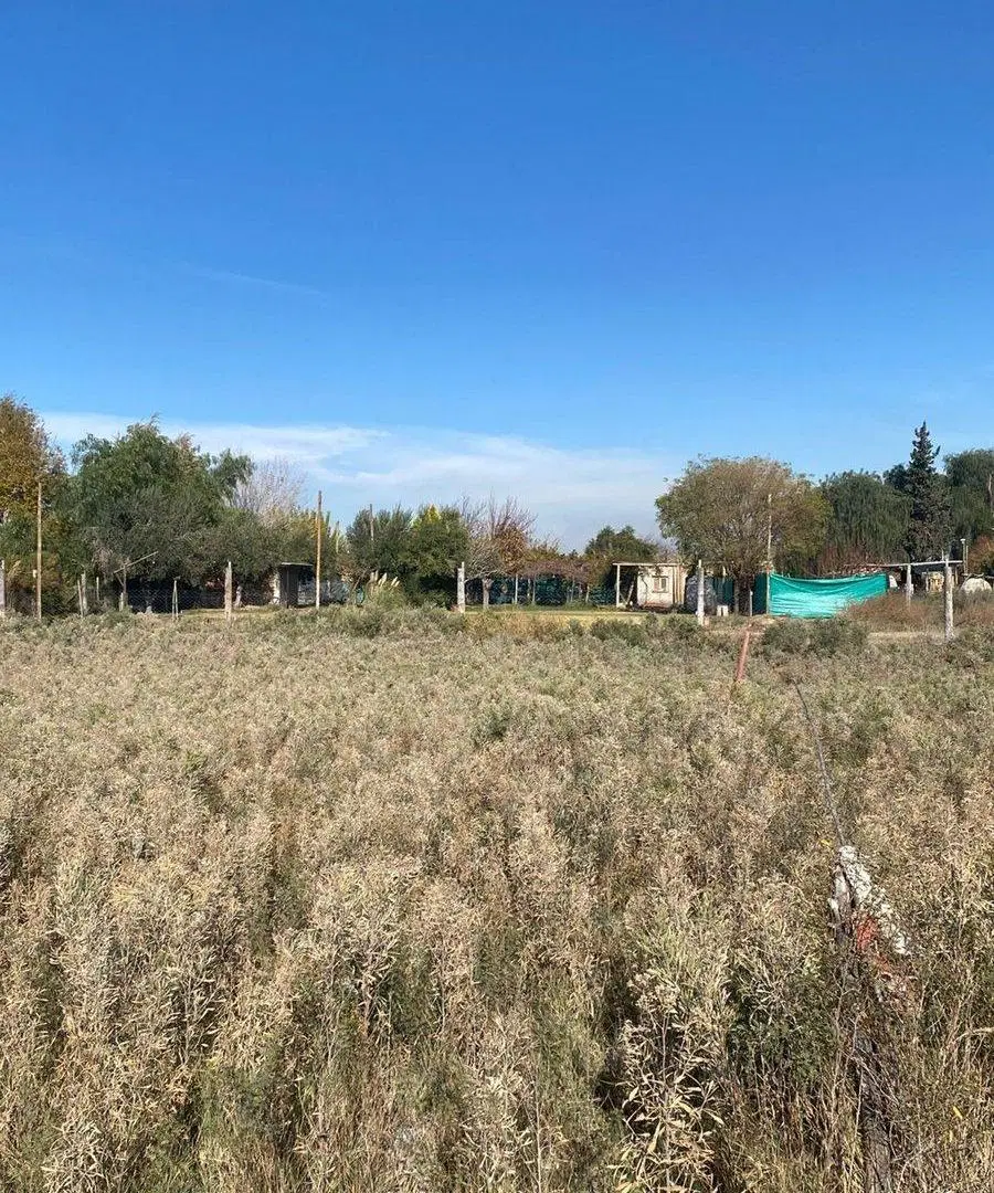 Lote en venta 1.000 m2 Rodeo del Medio Maipú 2