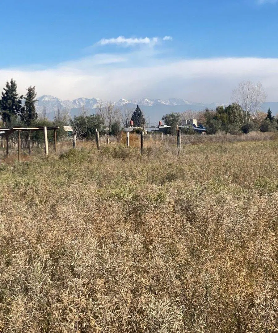 Lote en venta 1.000 m2 Rodeo del Medio Maipú 4