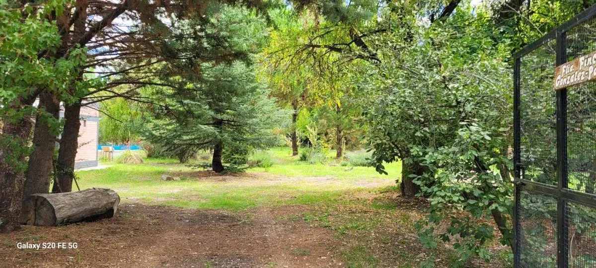 VENTA CABAÑA EN MALARGÜE 5