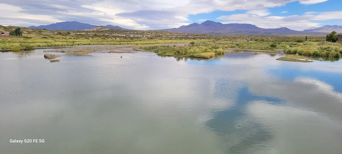 VENTA CABAÑA EN MALARGÜE 5