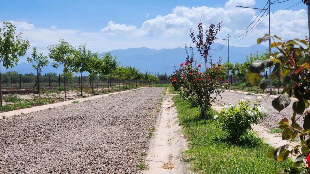 Venta Lote 900 m2 B° Atardeceres de Vieytes 4