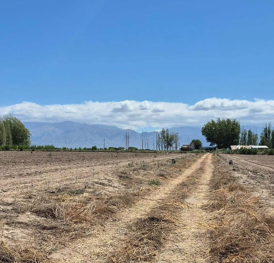 VENTA DE FINCA EN SAN CARLOS 4
