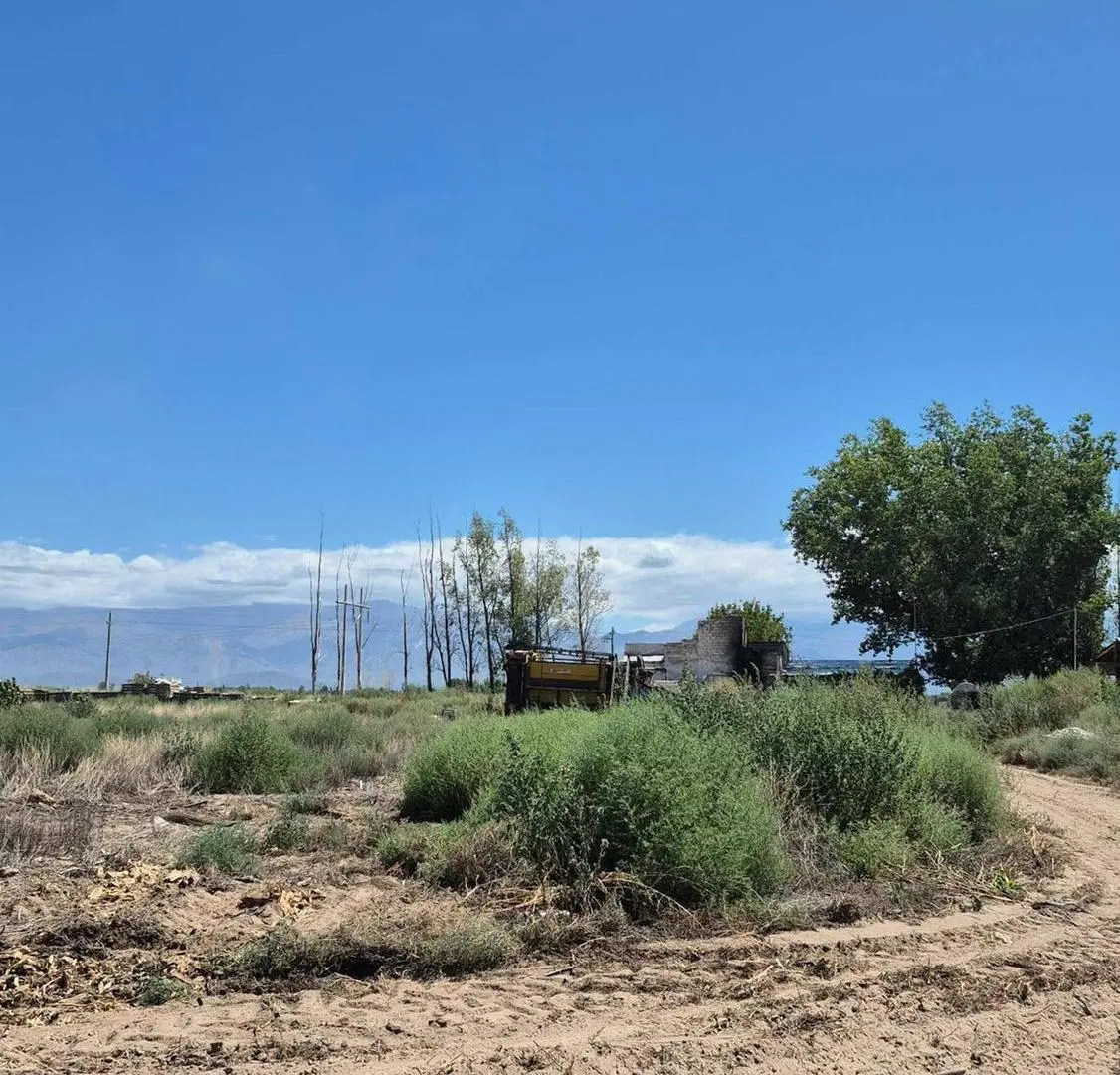 VENTA DE FINCA EN SAN CARLOS 2