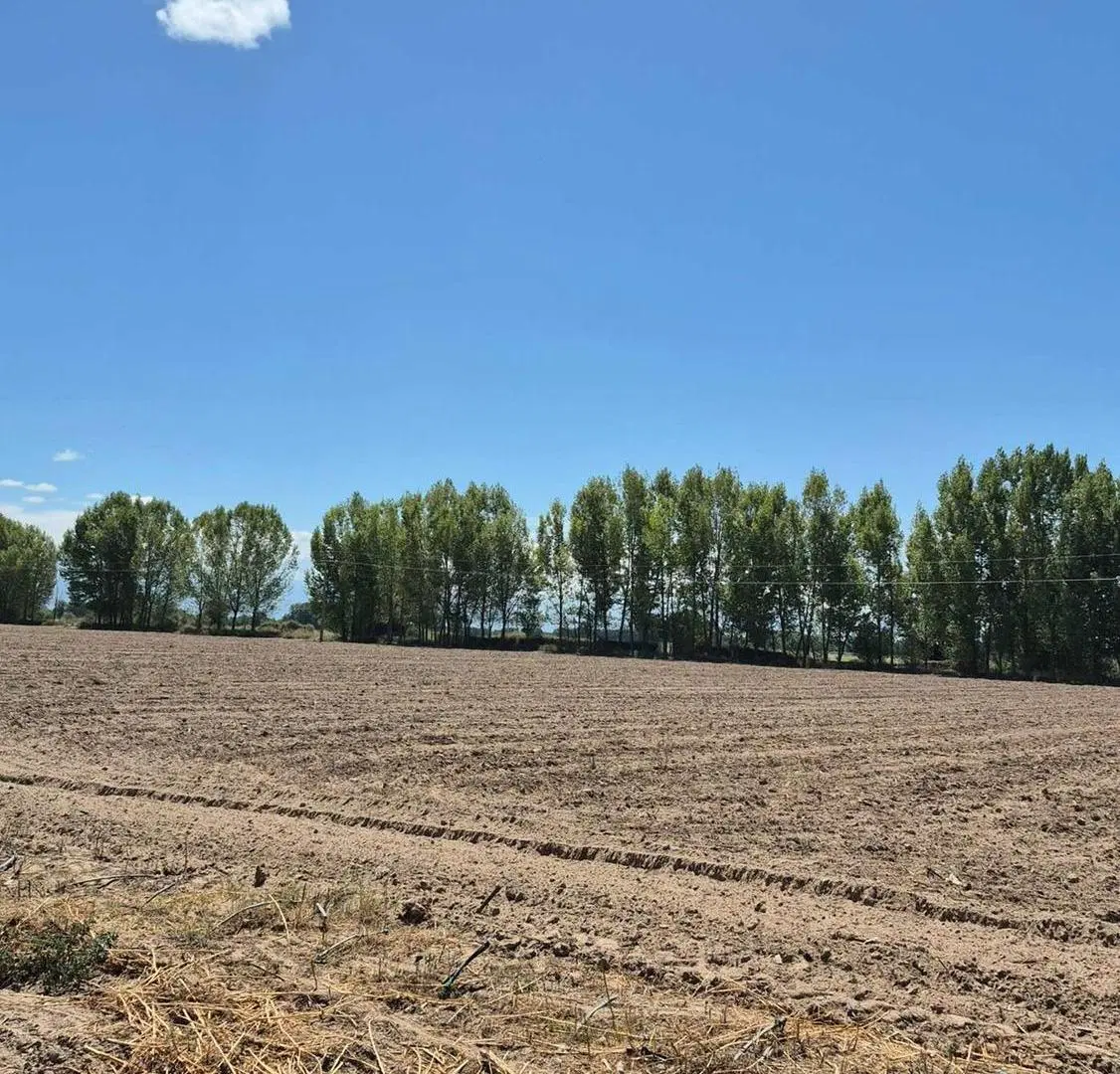 VENTA DE FINCA EN SAN CARLOS 5