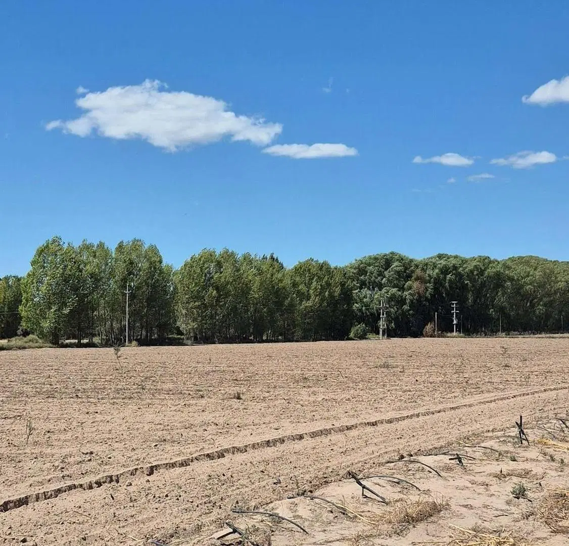 VENTA DE FINCA EN SAN CARLOS 3