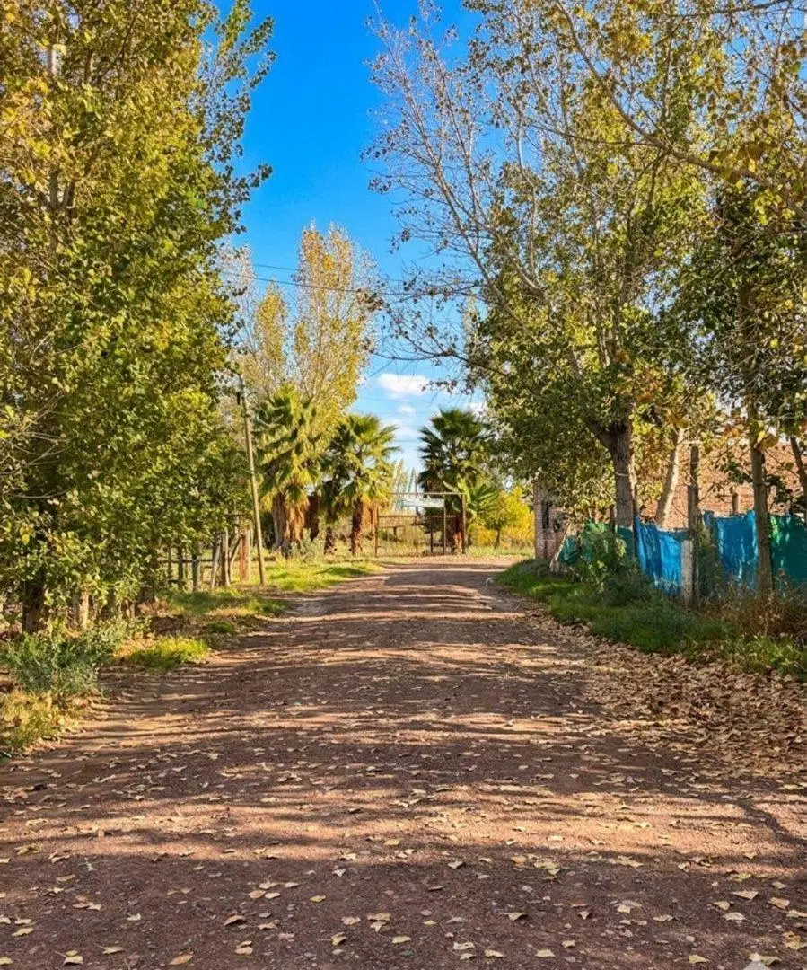 VENTA DE TERRENO EN CORRALITOS 2