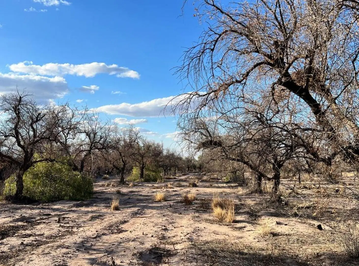Terreno en venta Guaymallén ideal desarrollo 4