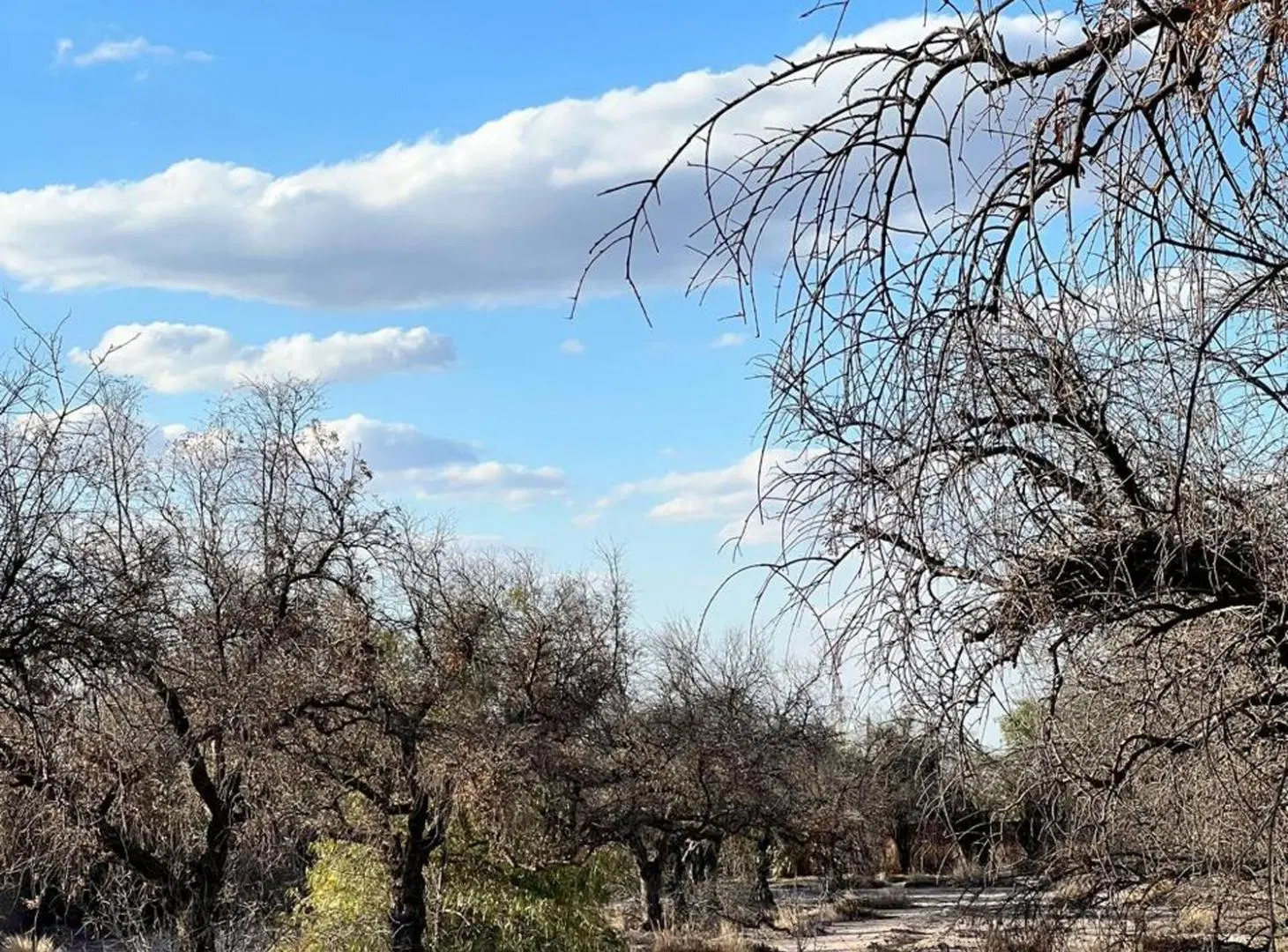 Terreno en venta Guaymallén ideal desarrollo 5