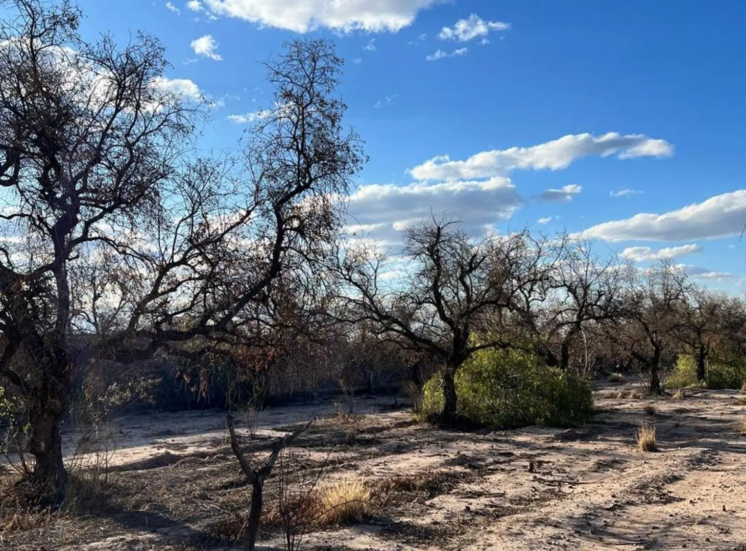 Terreno en venta Guaymallén ideal desarrollo 4