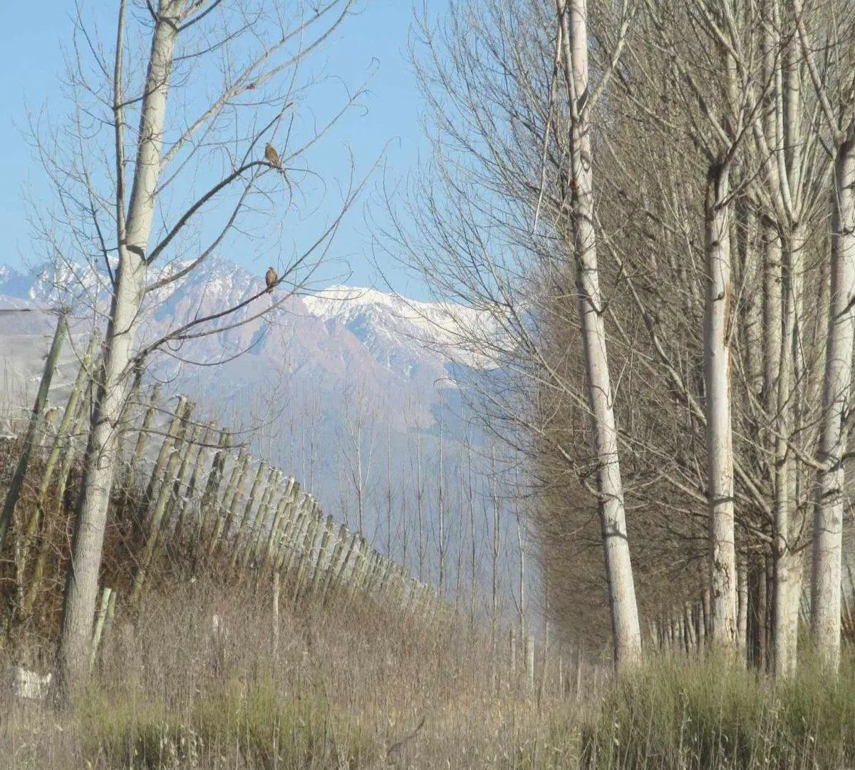 Venta Terreno 1000 m2 en San Carlos Valle de Uco 8