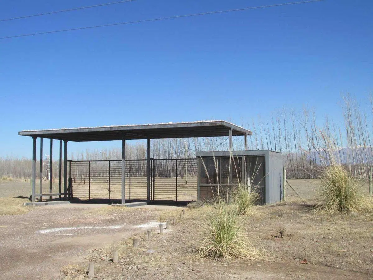 Venta Terreno 1000 m2 en San Carlos Valle de Uco 5