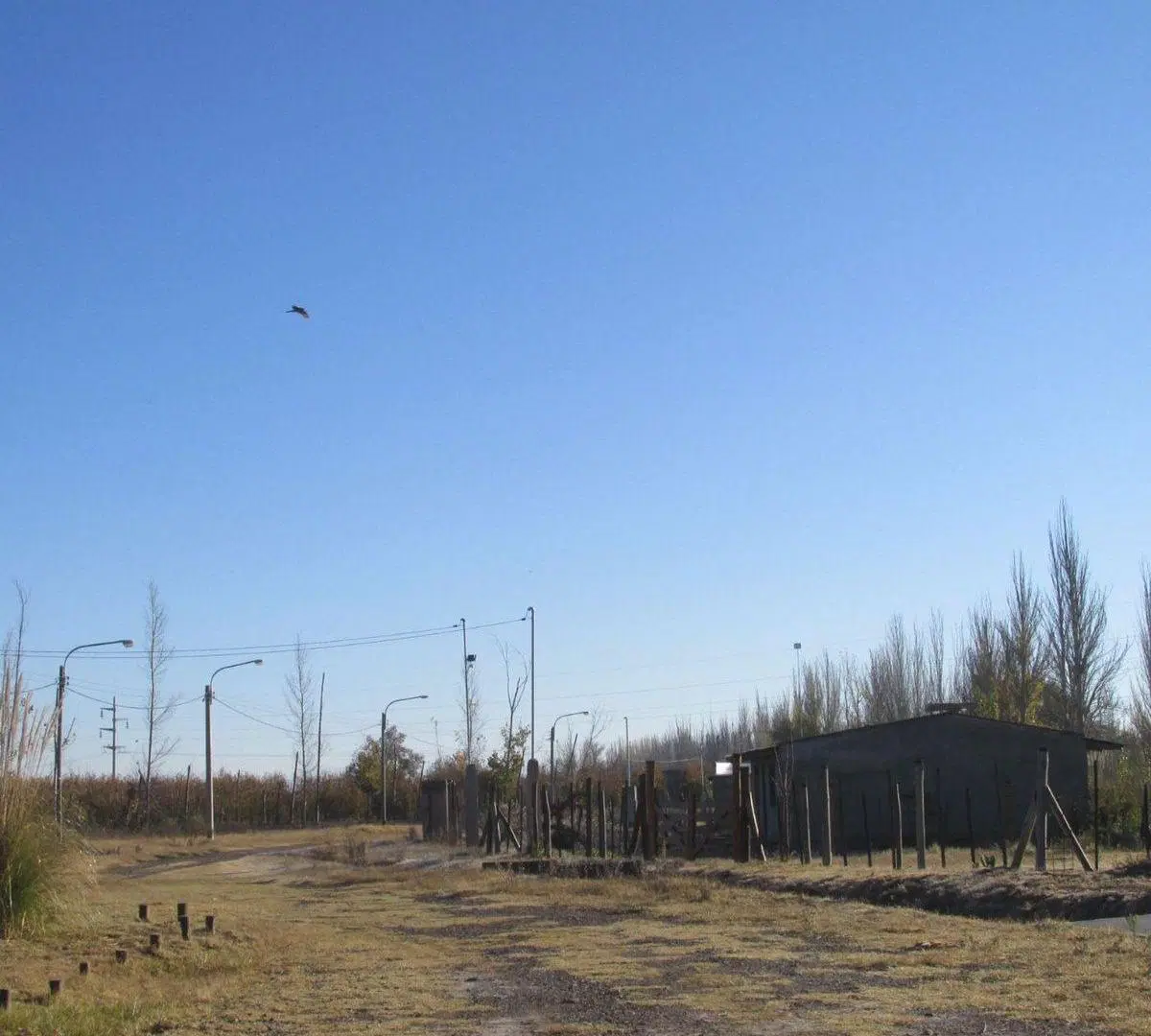 Venta Terreno 1000 m2 en San Carlos Valle de Uco 3